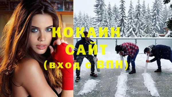 бошки Алексин