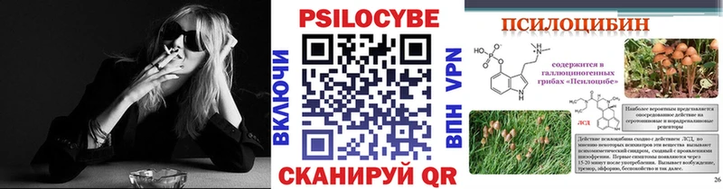 продажа наркотиков  Пугачёв  Галлюциногенные грибы Magic Shrooms 
